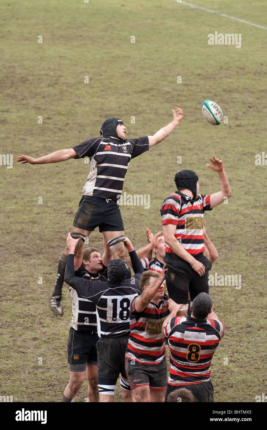 broughton park player missing the ball at a line-out Stock Photo