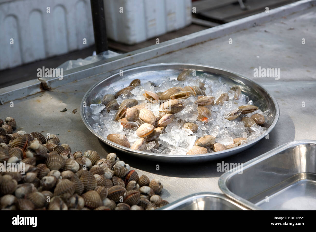 Fresh Shellfish, clams on an iced tray Stock Photo