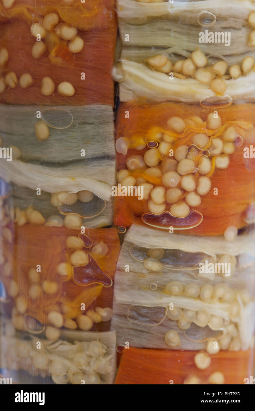 Alternating strands hi-res stock photography and images - Alamy