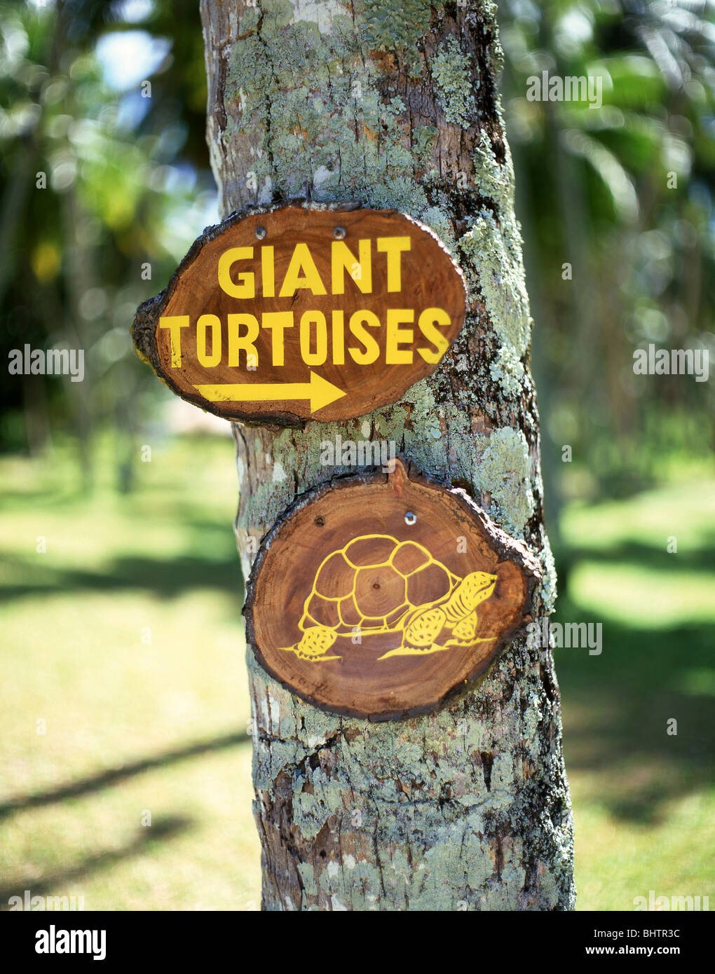 Giant Tortoises sign, La Digue, Inner Islands, Republic of Seychelles Stock Photo