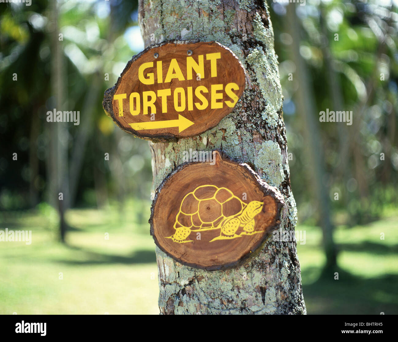 Giant Tortoises sign, La Digue, Inner Islands, Republic of Seychelles Stock Photo