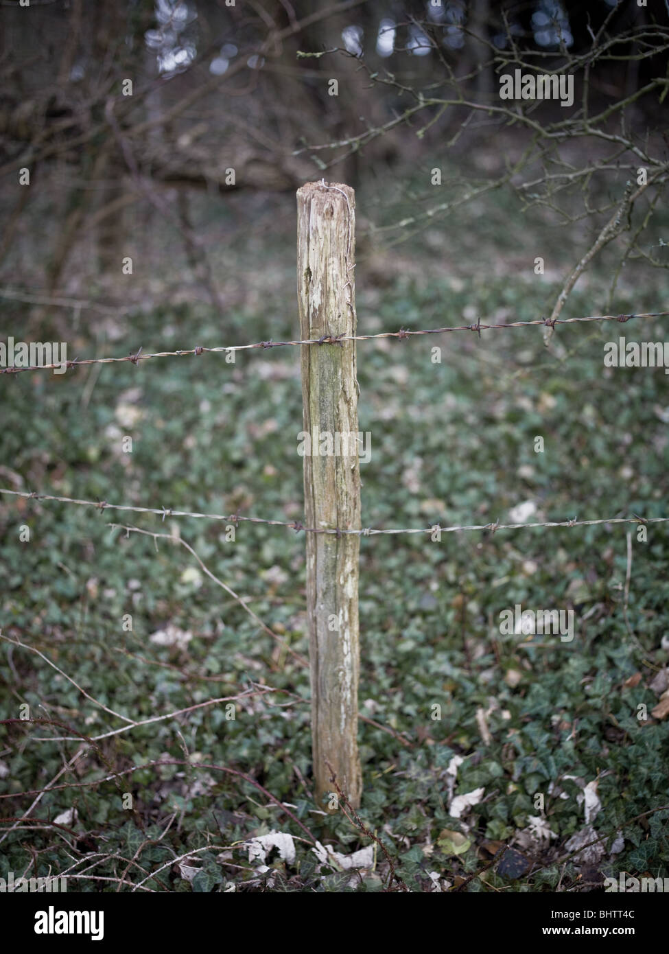 Wooden boundary fence hi-res stock photography and images - Alamy