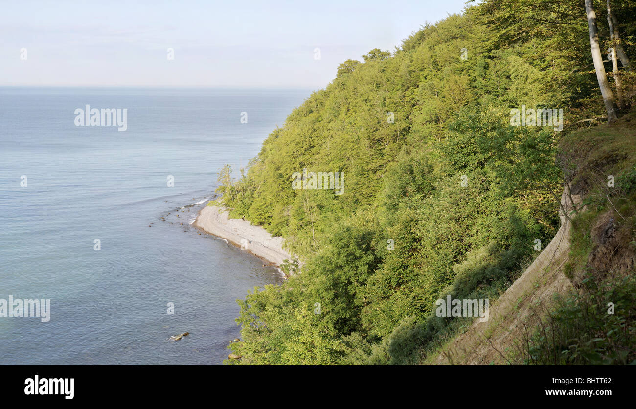 The Northern wooded part of  The Cliffs of Møn, a spectacular landmark in the east of Denmark. Stock Photo
