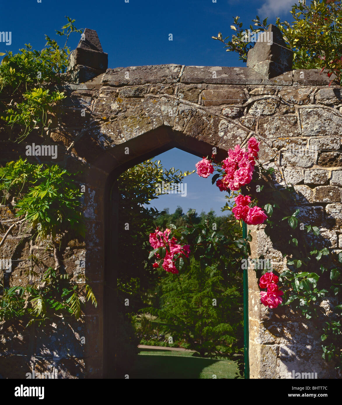 Roses around a stone entrance arch to English country estate garden and ...