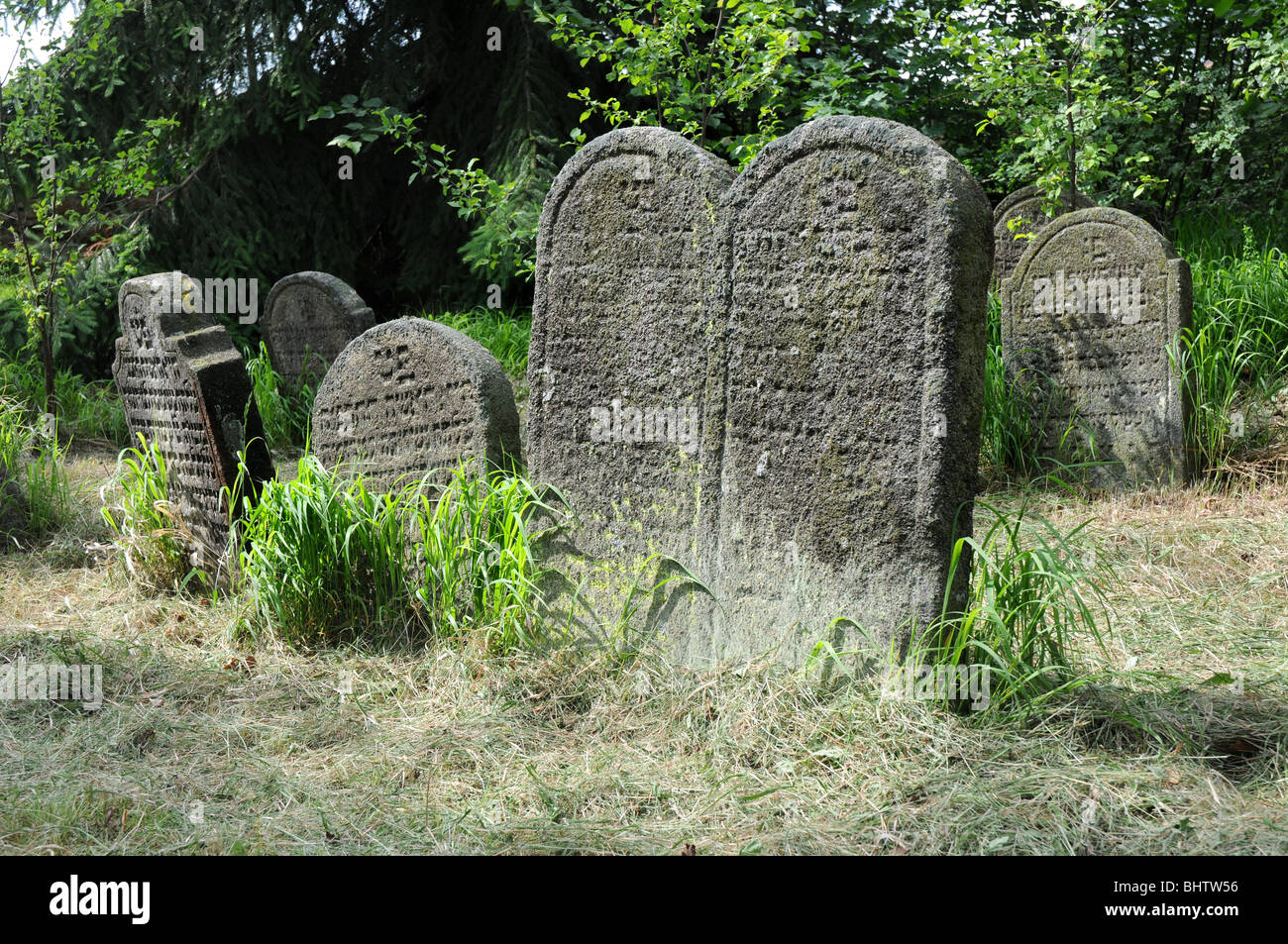 Tombstones in old Jewish cemetery in Golcuv Jenikov. Stock Photo