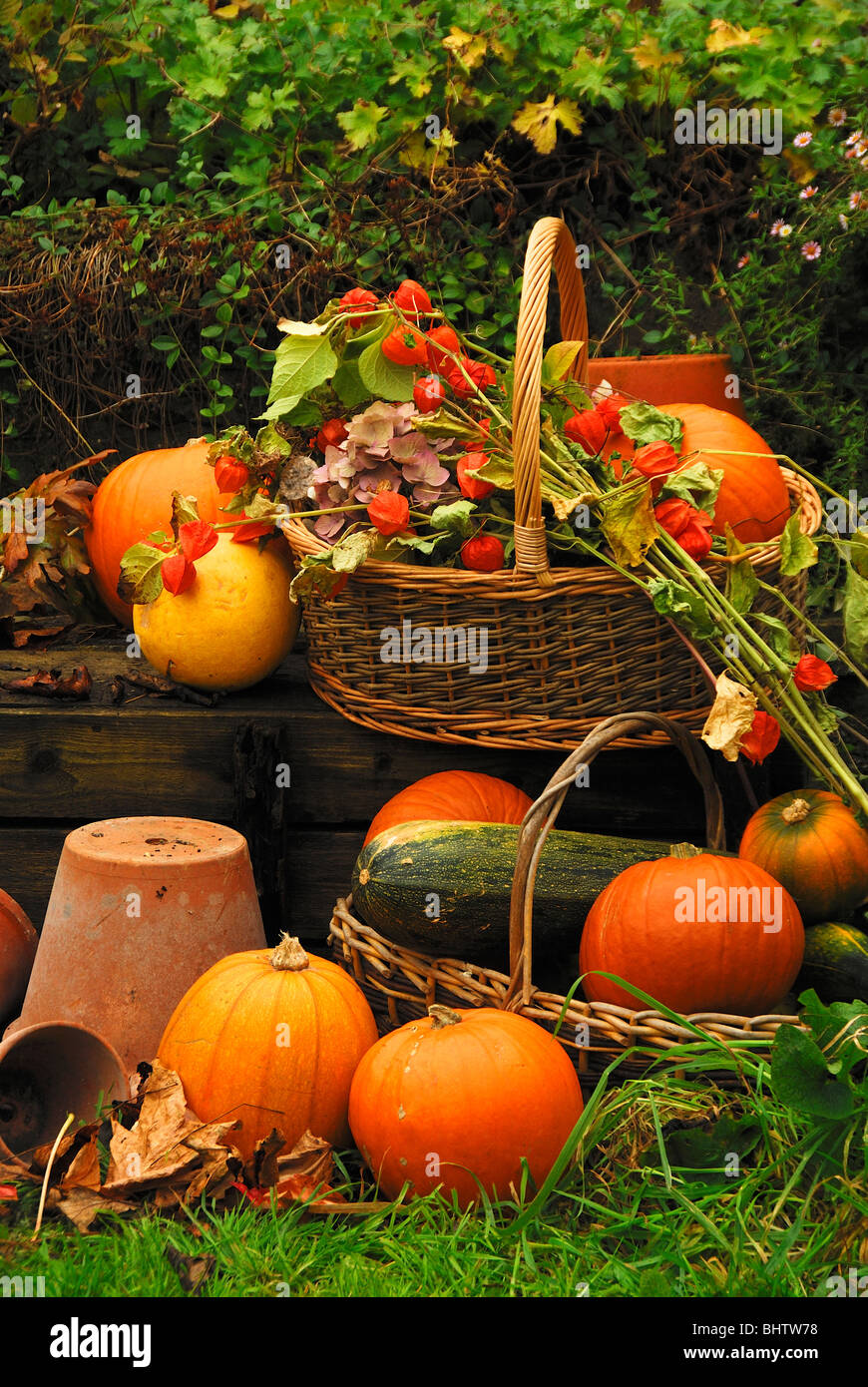Pumpkins and autumn fruits displayed in and around a wicker basket