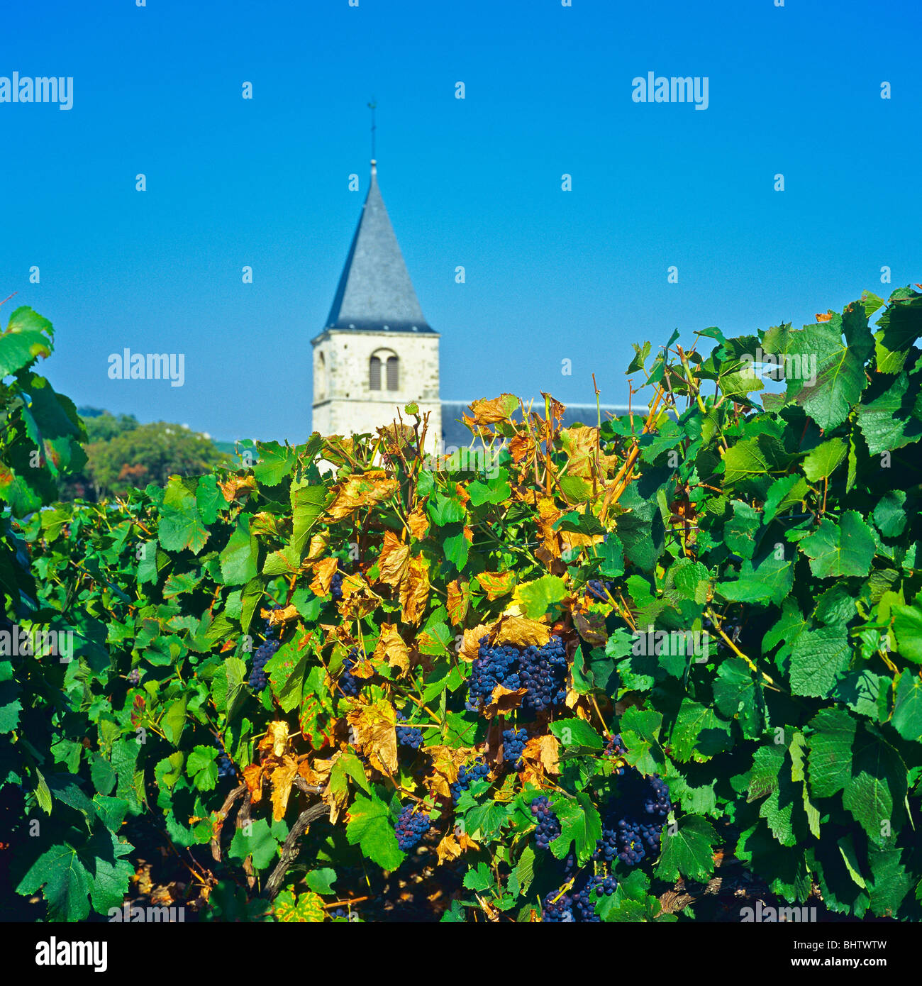 Chigny les roses champagne france hi-res stock photography and images ...