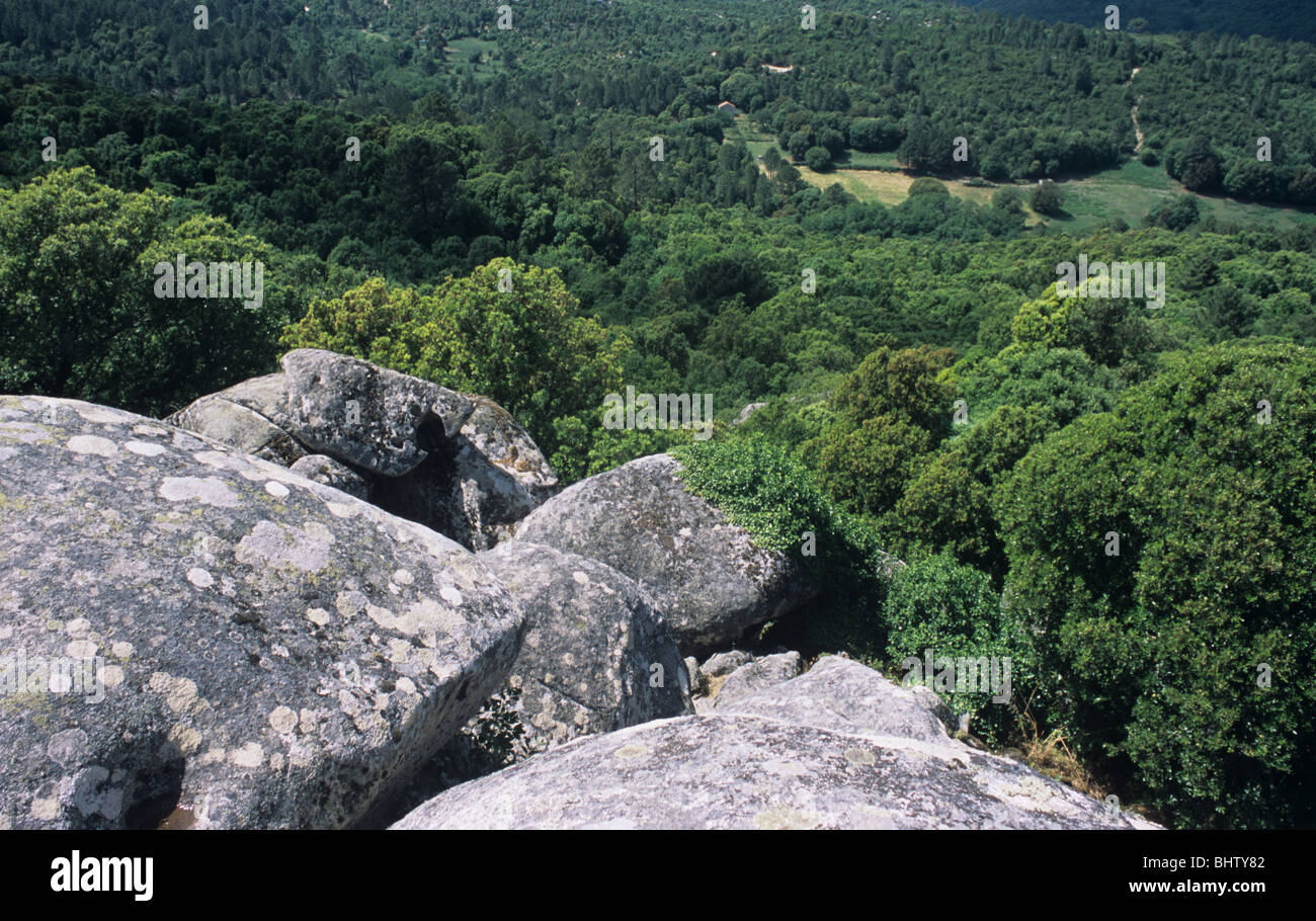 View from Central Monument of Castellu of Cucuruzzu, Fortified Megalithic Torreen Village, Pianu di Levie, Corsica, France Stock Photo