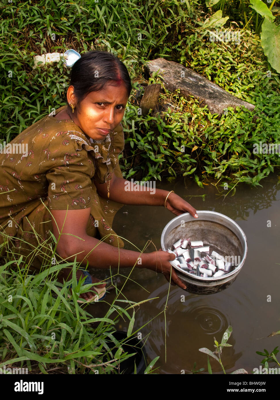 India, Kerala, Alappuzha, Chennamkary, backwaters, woman washing prepared fish in canal water Stock Photo