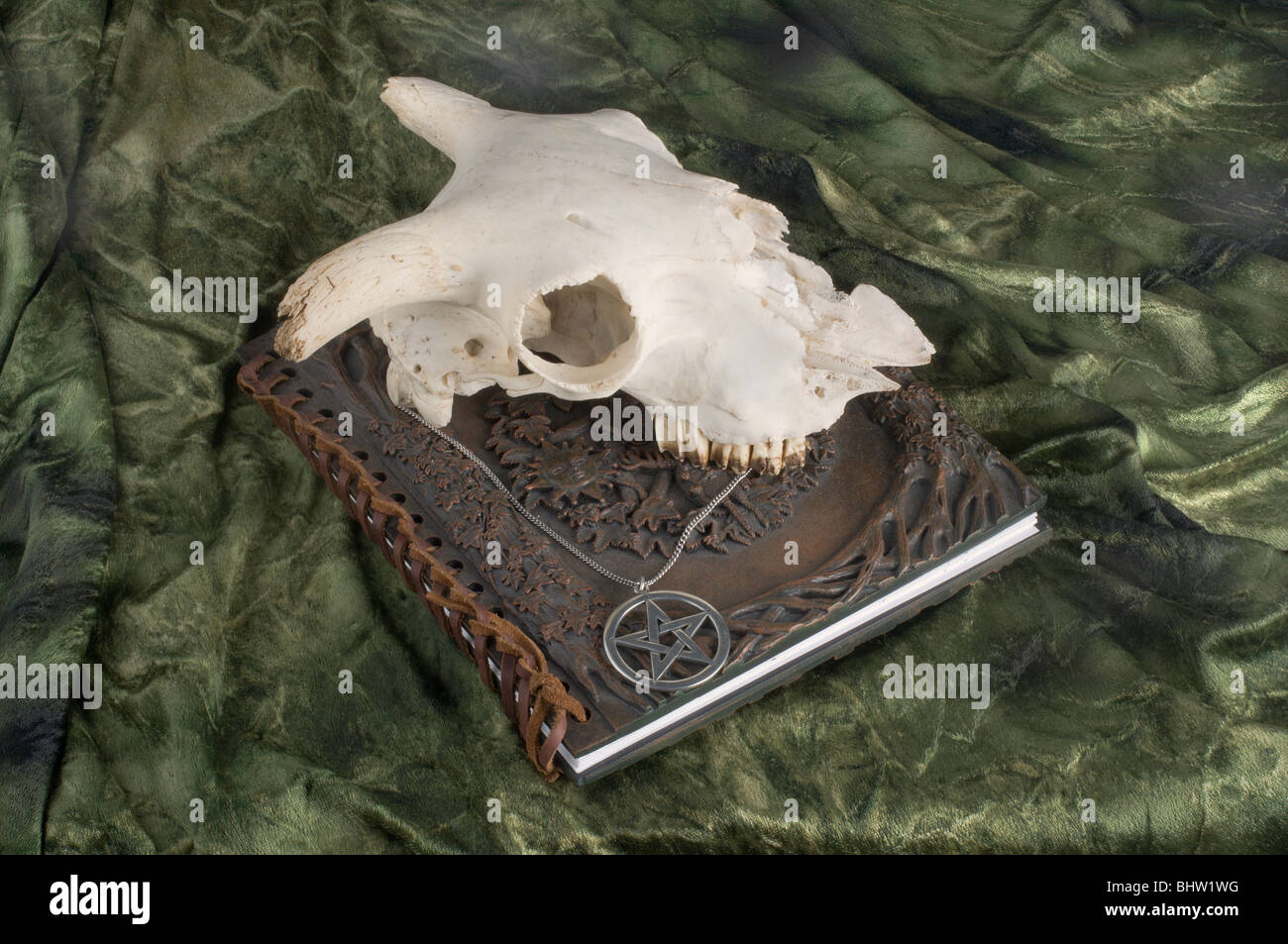 Witch Tools Stock Photo