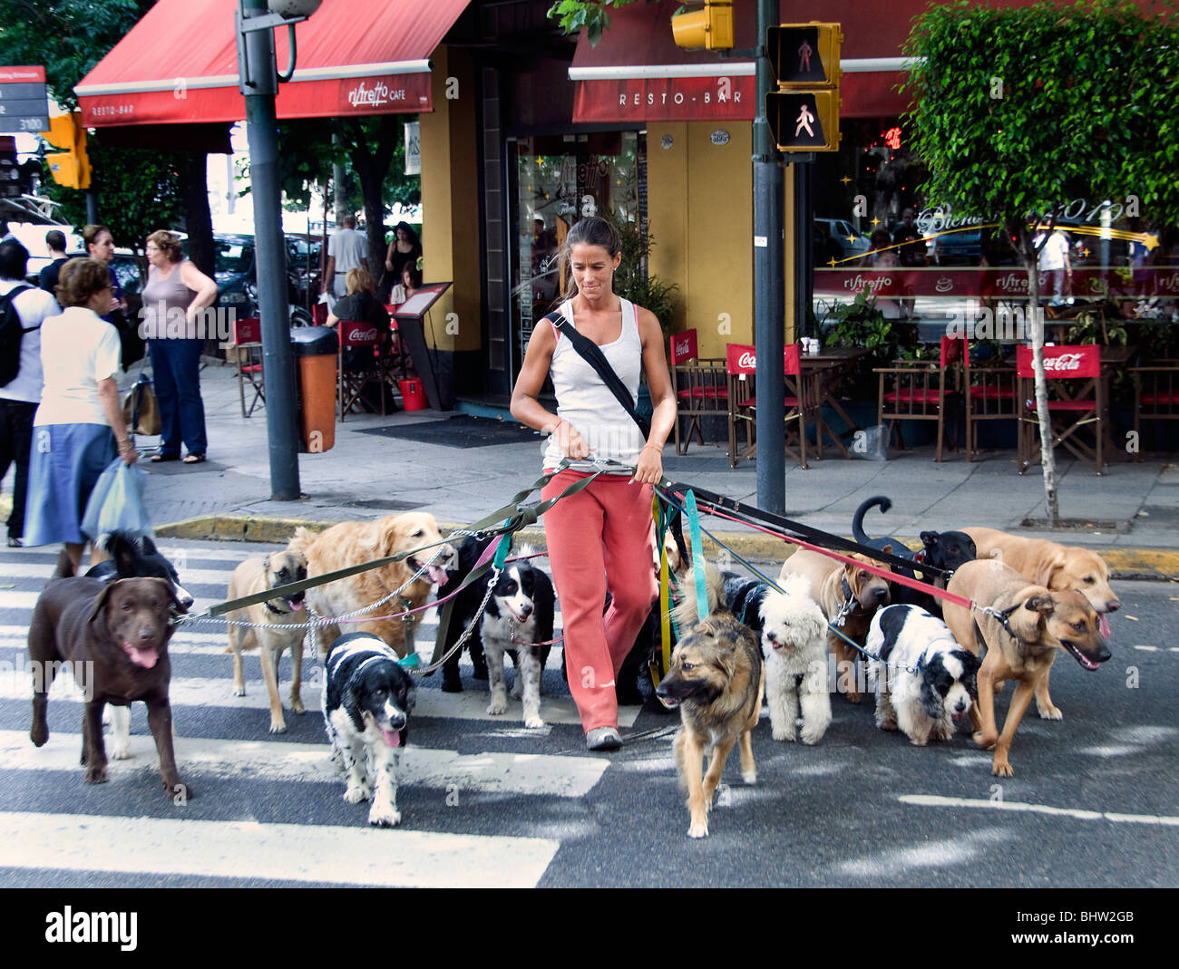 Buenos Aires Argentina Dog Sitter Professional walker dogs woman girl Stock Photo