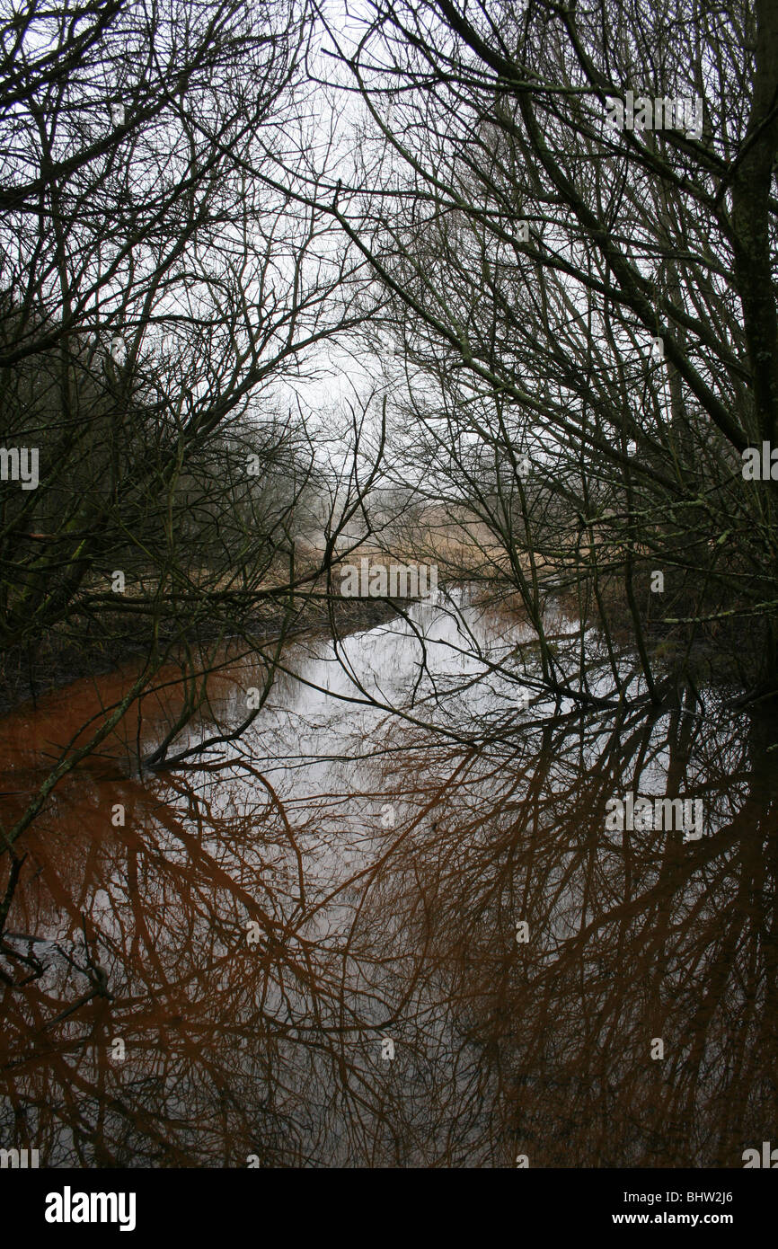 Winter Trees Reflected In An Iron Enriched Pond At Pennington Flash CP, UK Stock Photo