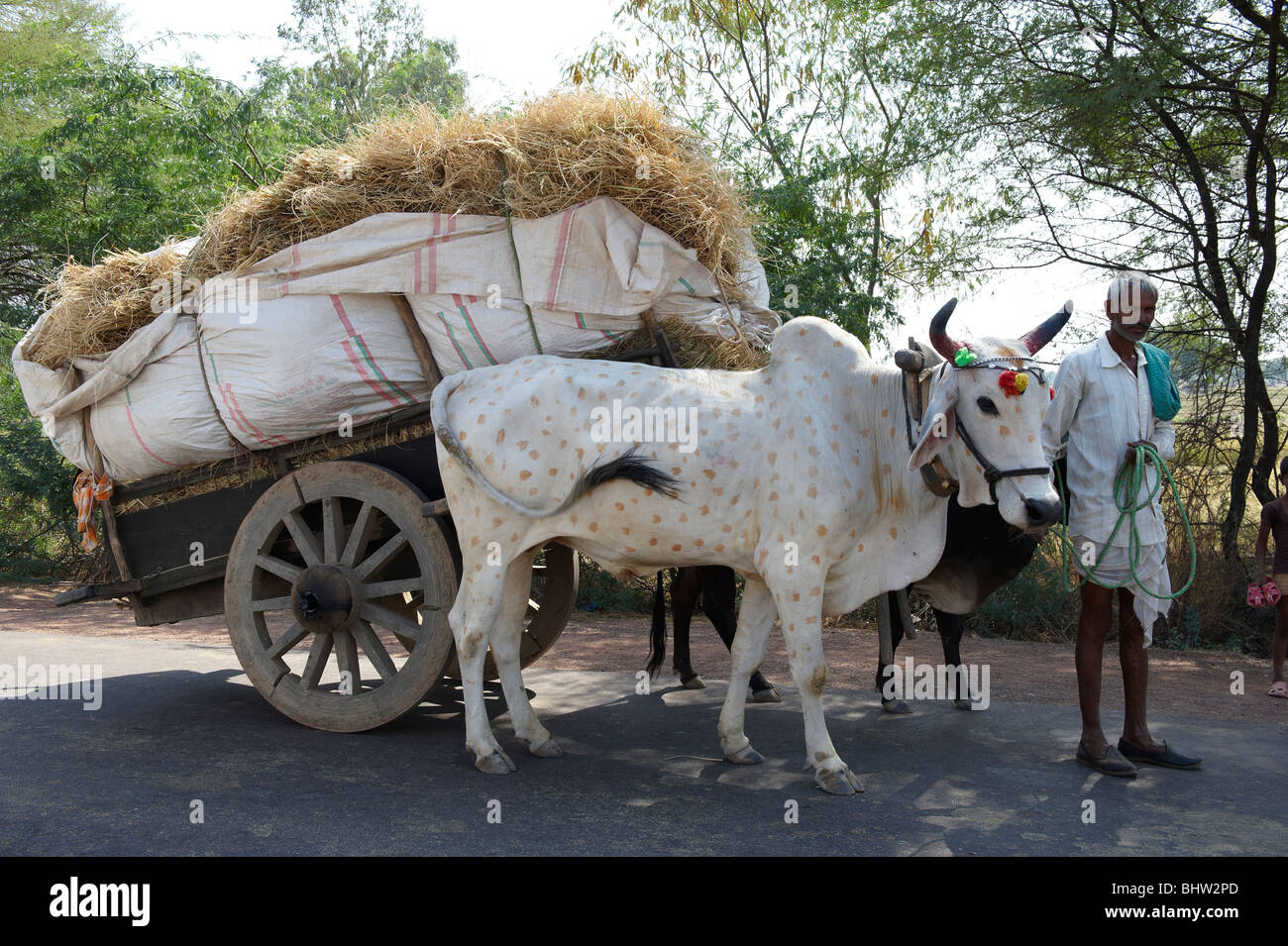 Ox cart india hi-res stock photography and images - Alamy