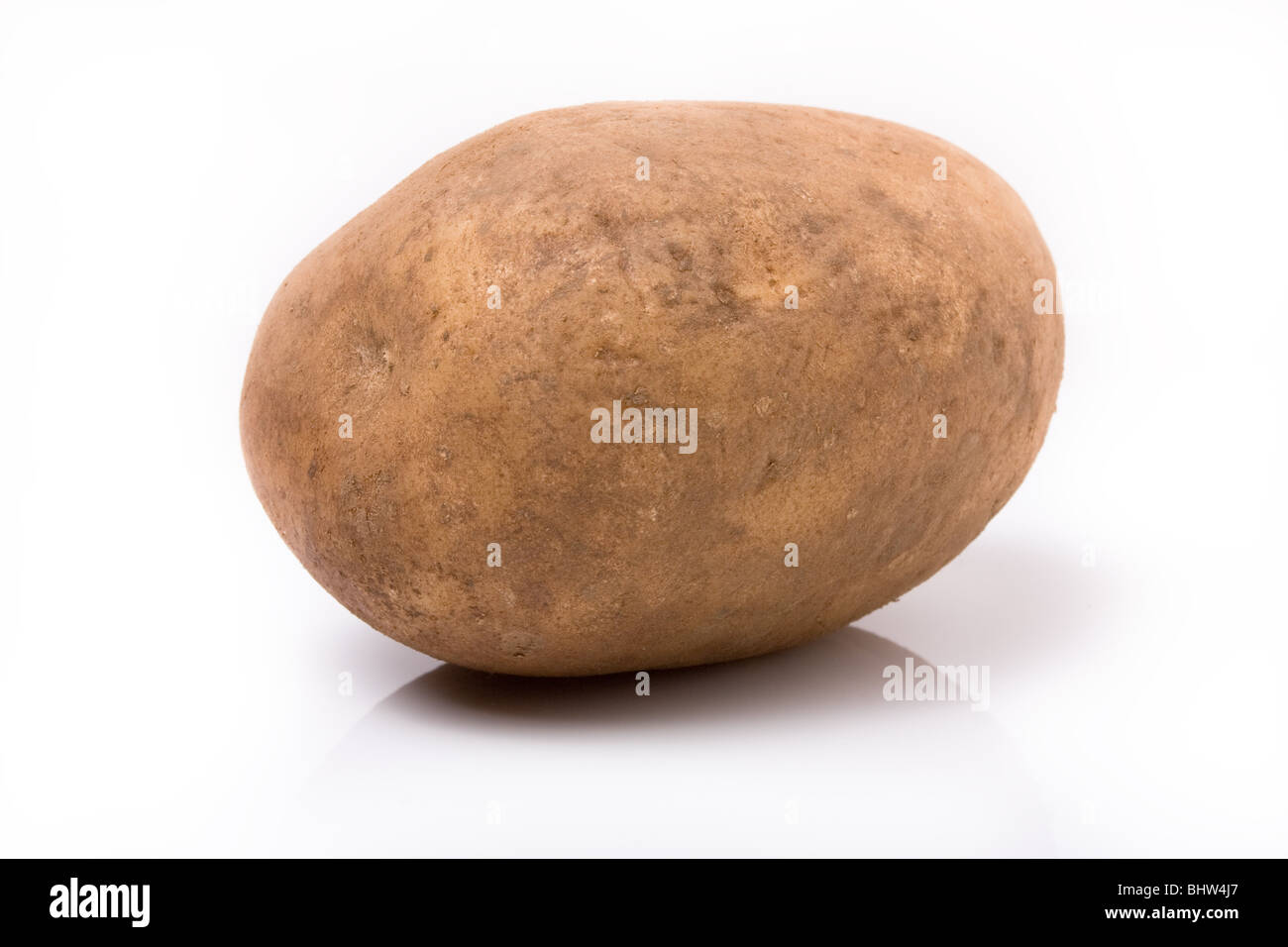 Large unwashed natural potato from low viewpoint aganst white background. Stock Photo