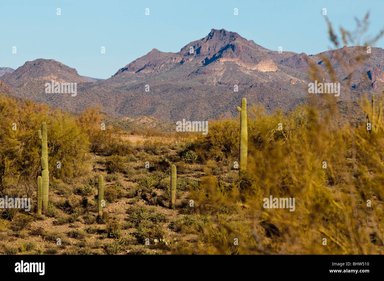 Yavapai county hires stock photography and images Alamy