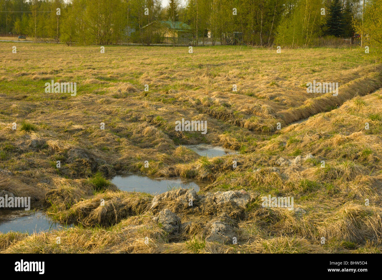 Field in spring just after snow has melted Satakunta Finland northern Europe Stock Photo
