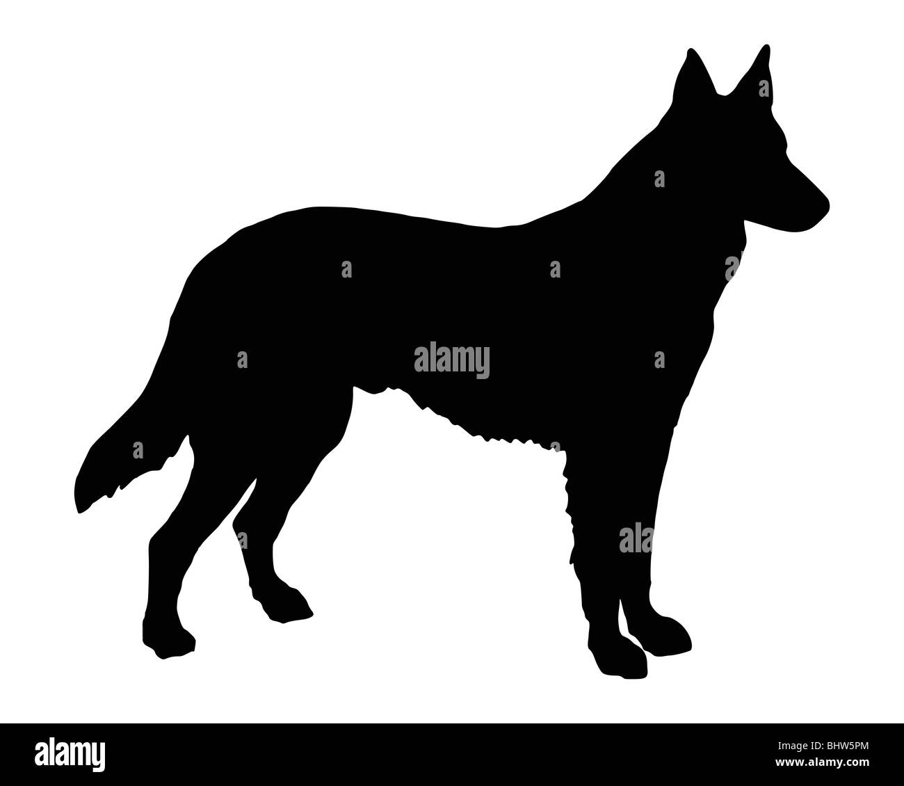 Herding dog silhouette hi-res stock photography and images - Alamy