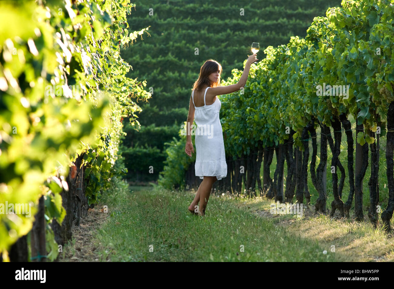 Young woman in vineyard holding wine glass Stock Photo - Alamy