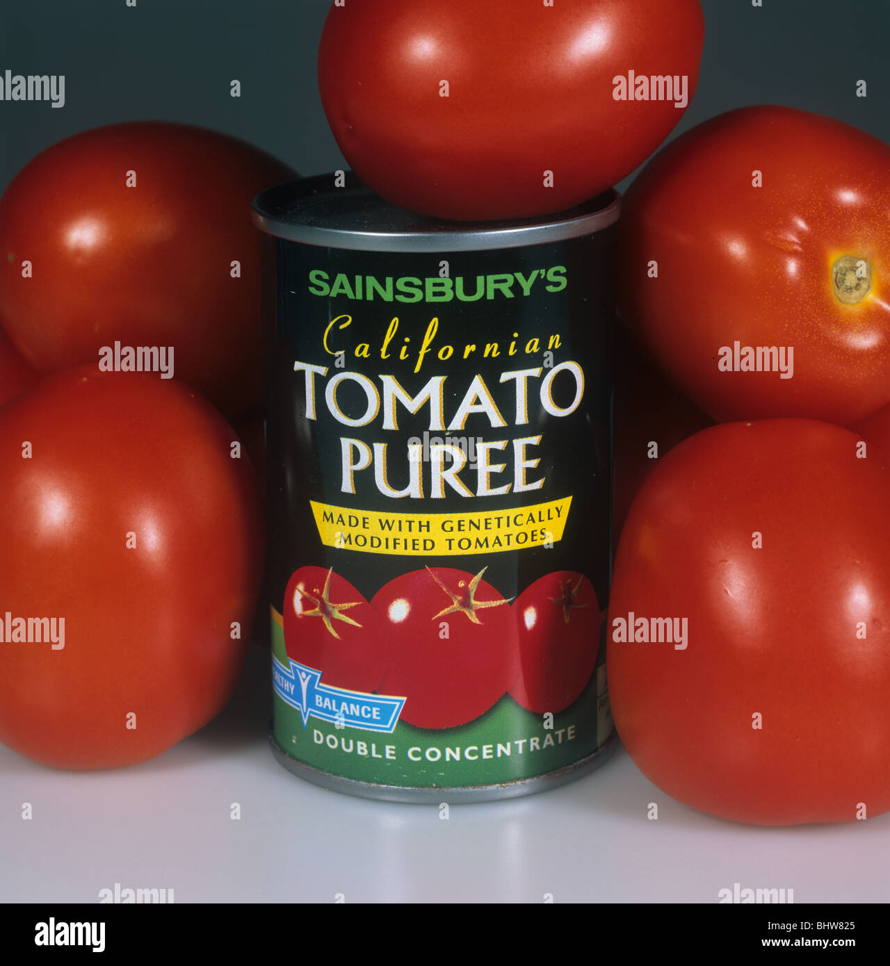Tin of genetically modified tomato puree with ripe tomato fruit Stock Photo