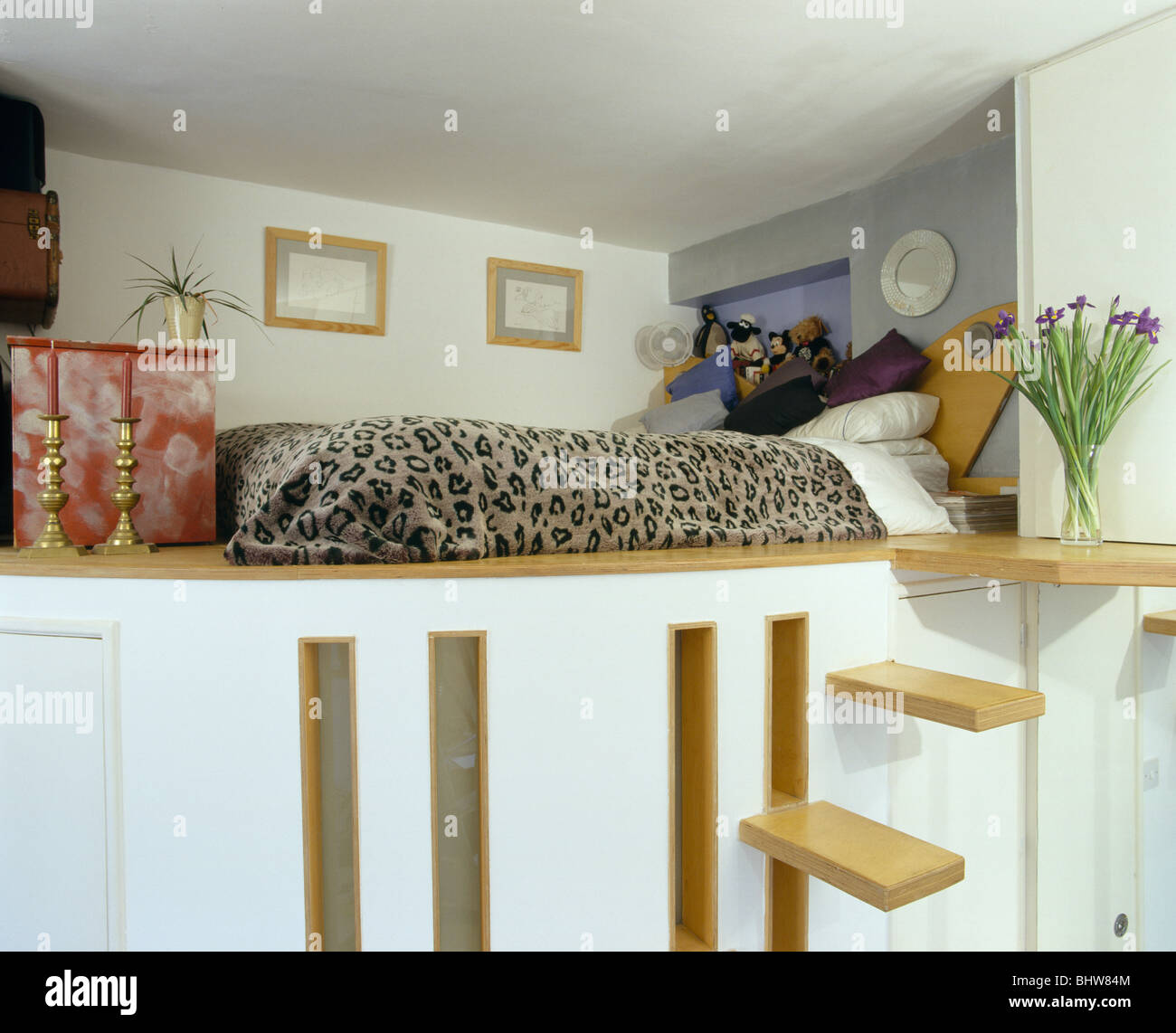 Steps up to platform bed with animal-print bed-cover in small studio apartment bedroom Stock Photo