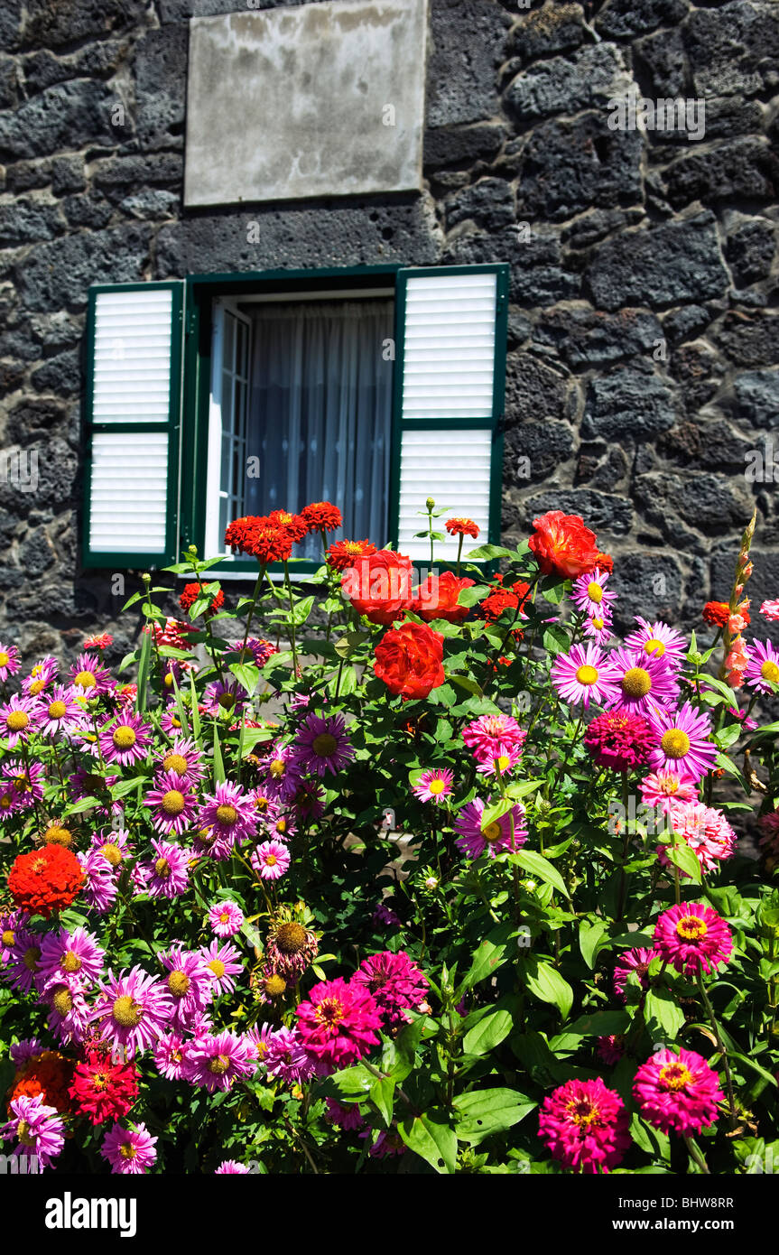 Bunch of flowers in front of a stone house Stock Photo - Alamy