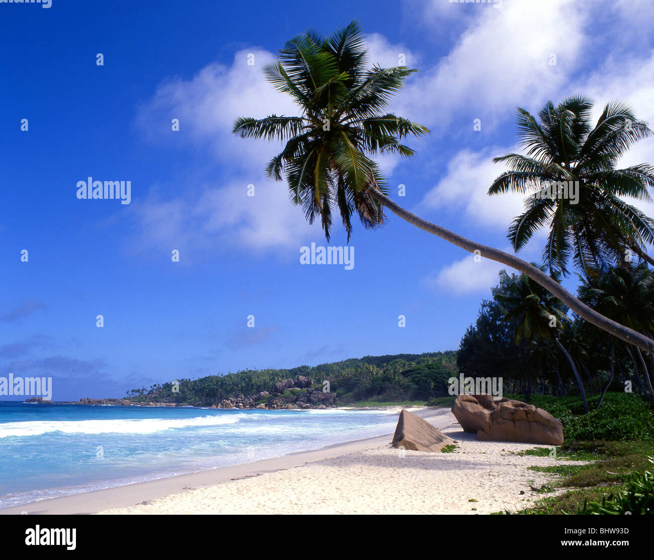 My Image 3