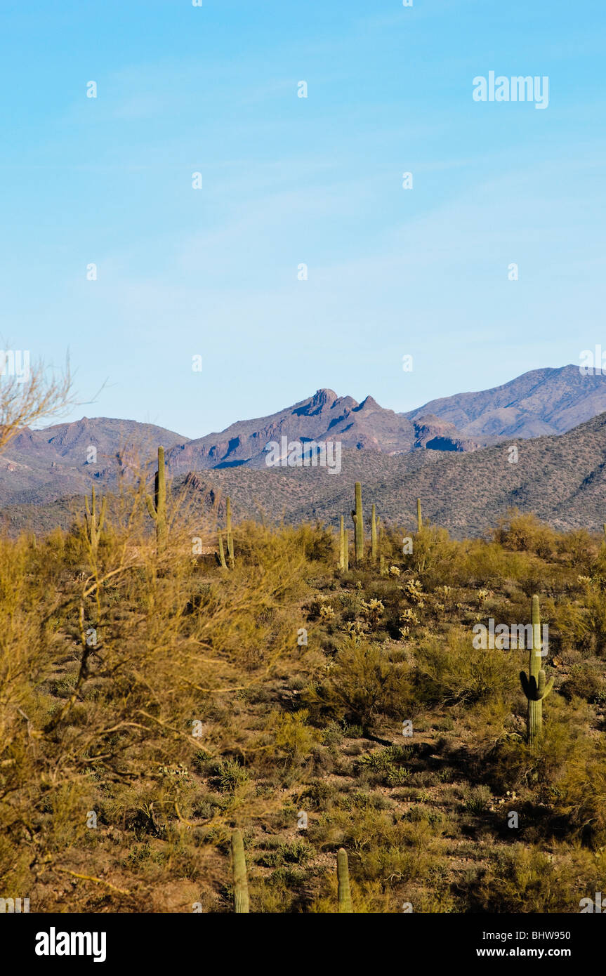 Lake pleasant az hires stock photography and images Alamy