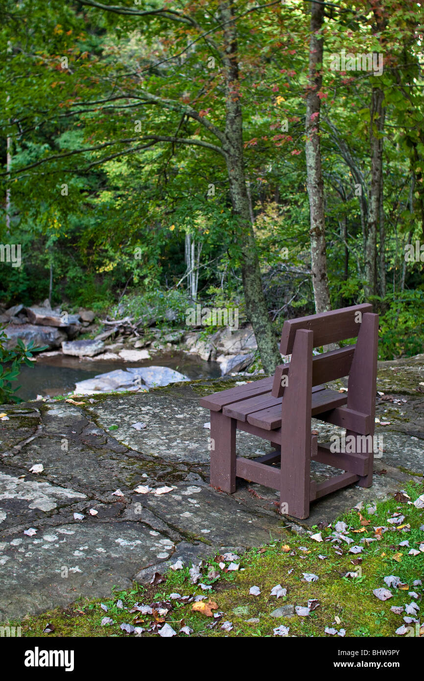Empty one chair at backyard withoud outdoors nature background no not  people nobody isolated Stock Photo - Alamy