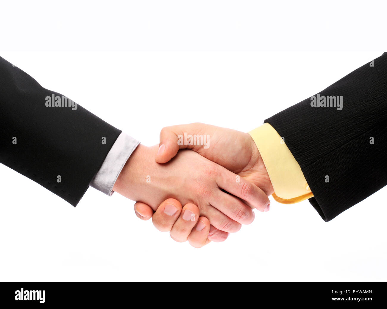 handshake, men and women on a white background Stock Photo