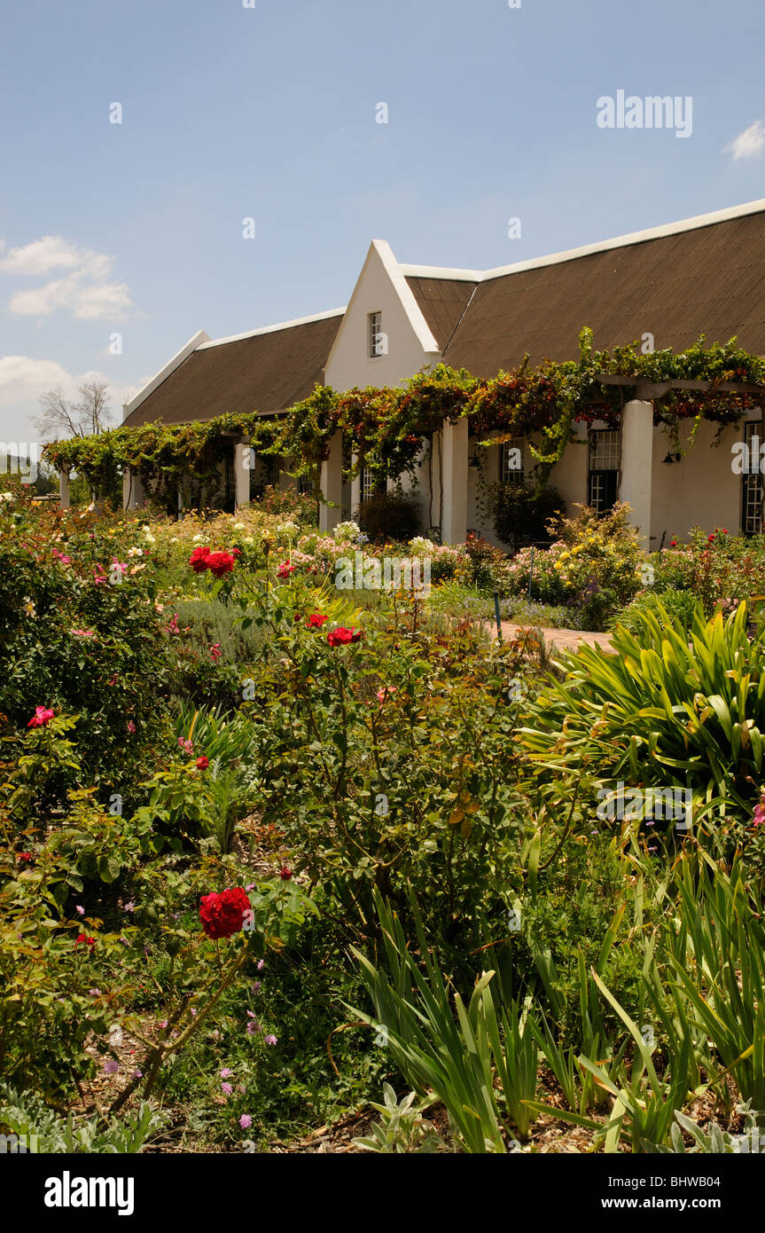 Avondale wine estate tasting & sales vine covered building in southern Paarl western Cape South Africa Stock Photo