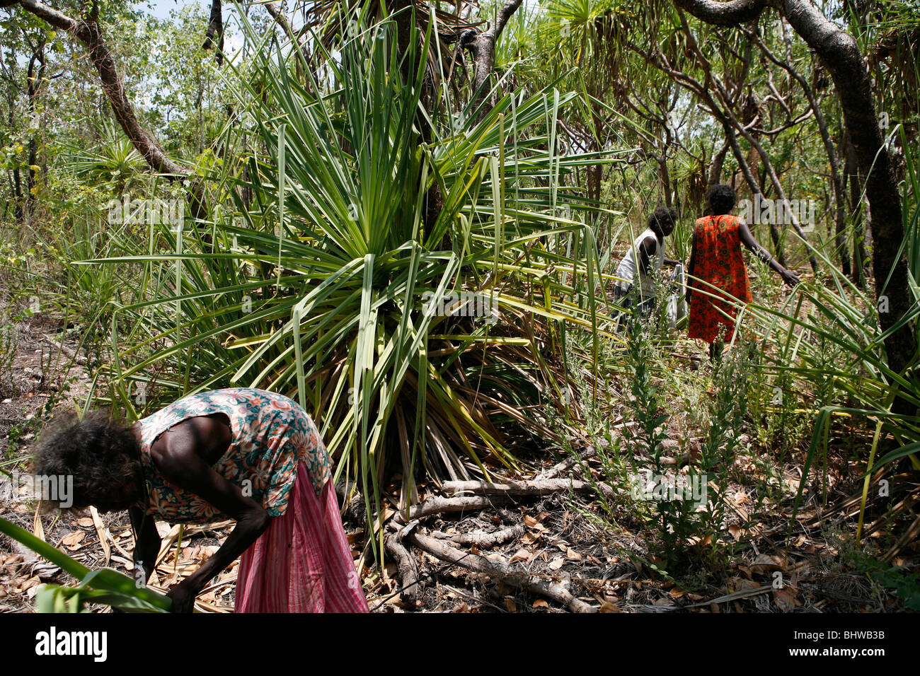 Aboriginal women australia hi-res stock photography and images - Alamy