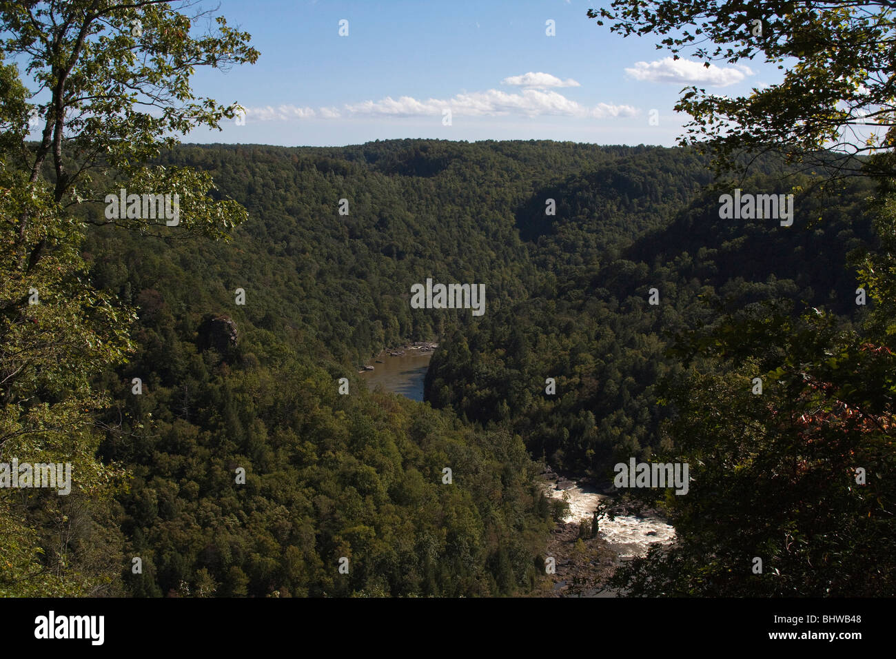Canyon Gauley West Virginia in USA US landscape photo top view from