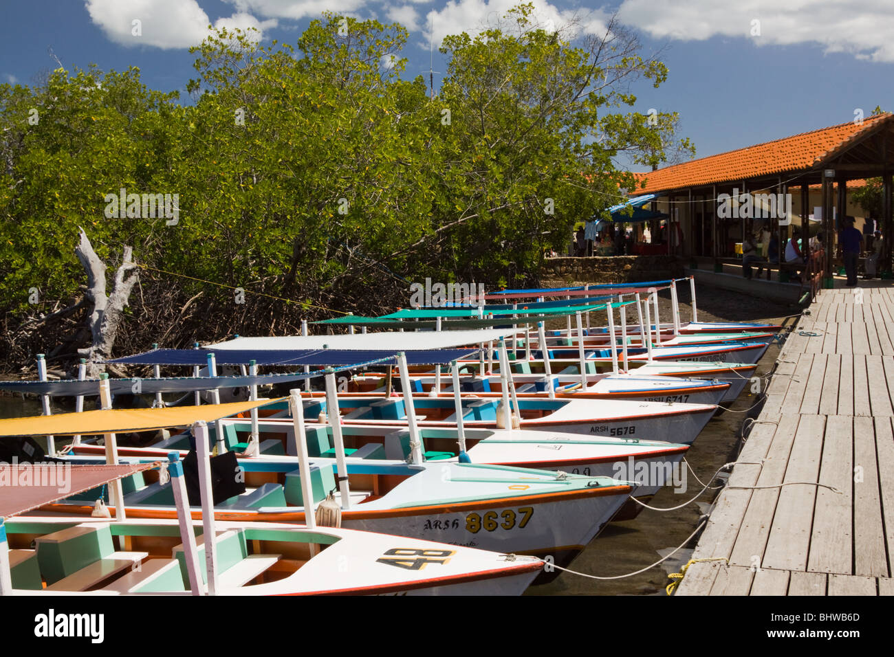 La Restinga National Park mangrove lagoon, Isla Margarita, Venezuela Stock Photo