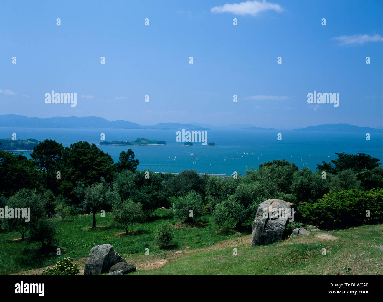 Olive Field, Setouchi, Okayama, Japan Stock Photo Alamy