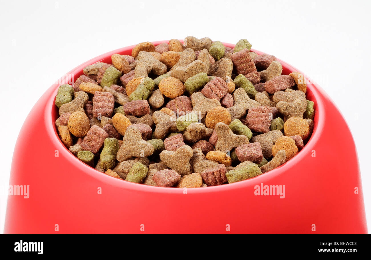 Dry cat food Stock Photo Alamy