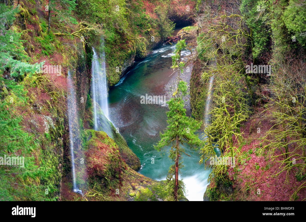 Seasonal waterfalls (unnamed) into Eagle Creek. Columbia River Gorge National Scenic Area, Oregon Stock Photo