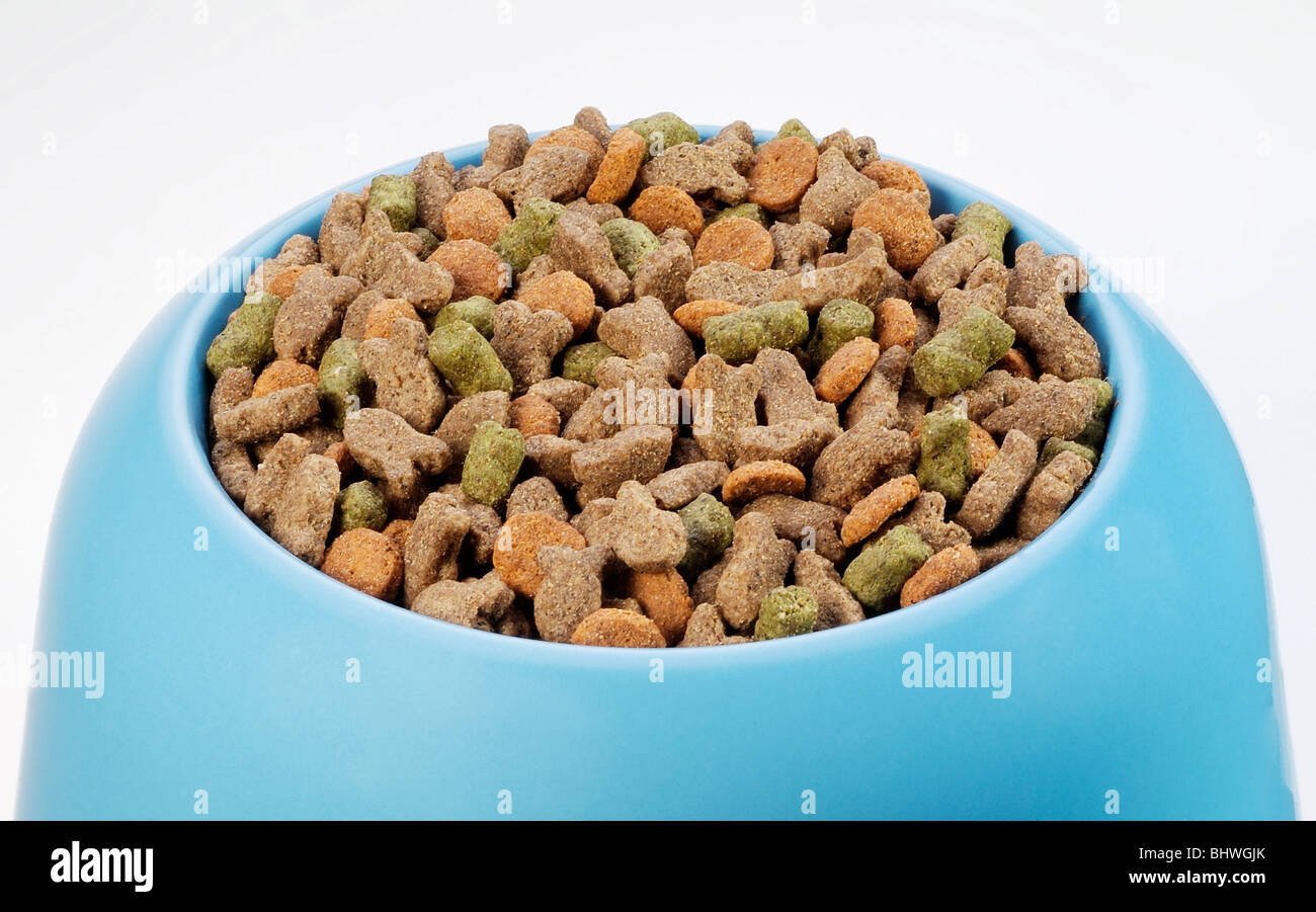 Cat dried food Stock Photo Alamy