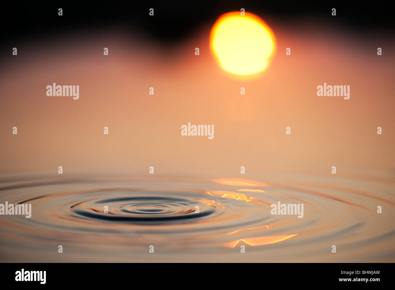 Water drops and ripples in a pool with reflected sunrise background. India Stock Photo