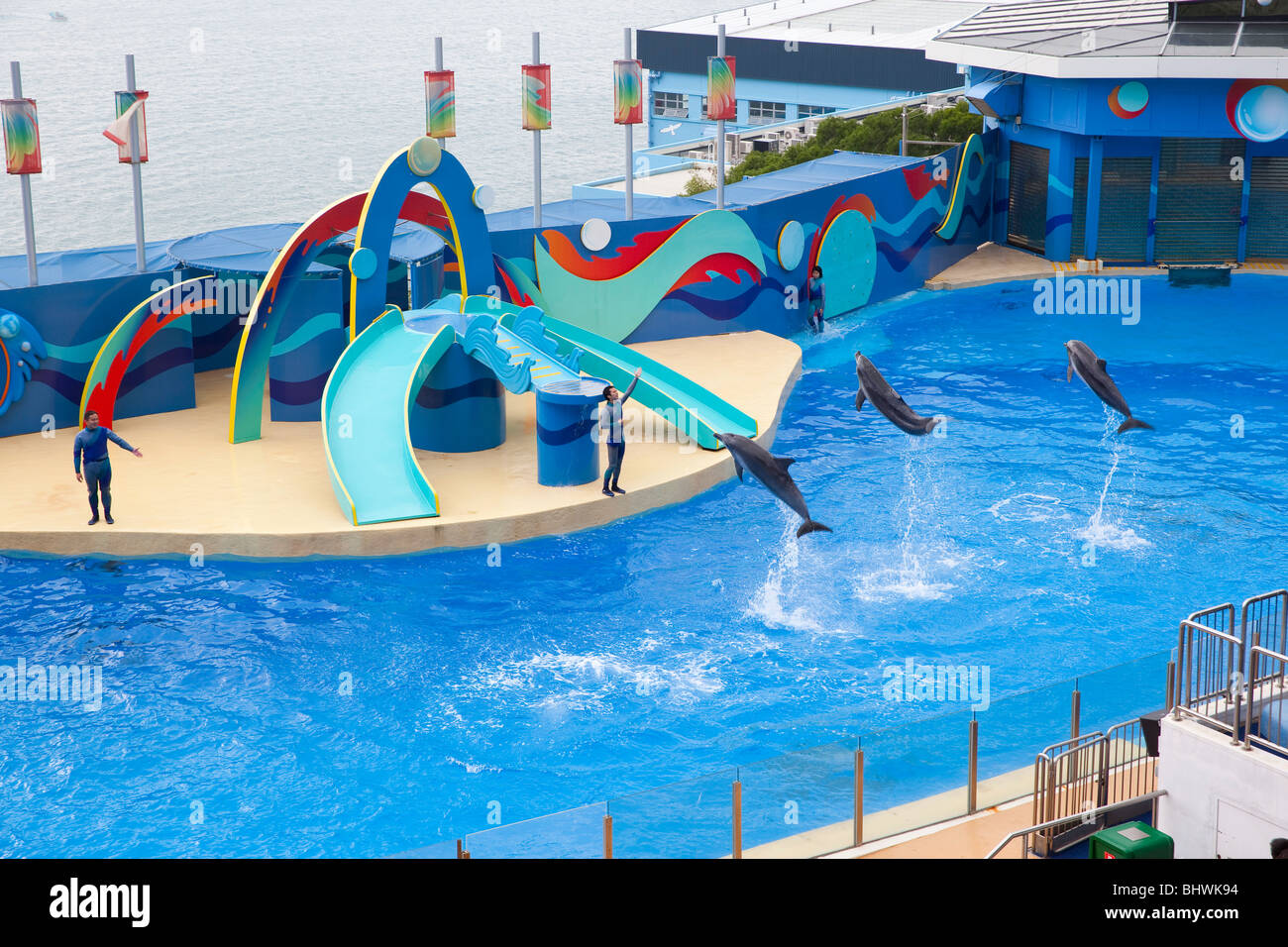 hong kong ocean park Stock Photo - Alamy