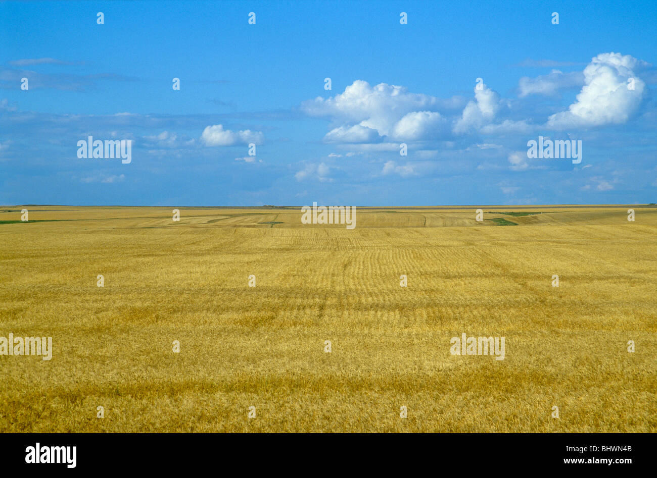 Grenora hires stock photography and images Alamy