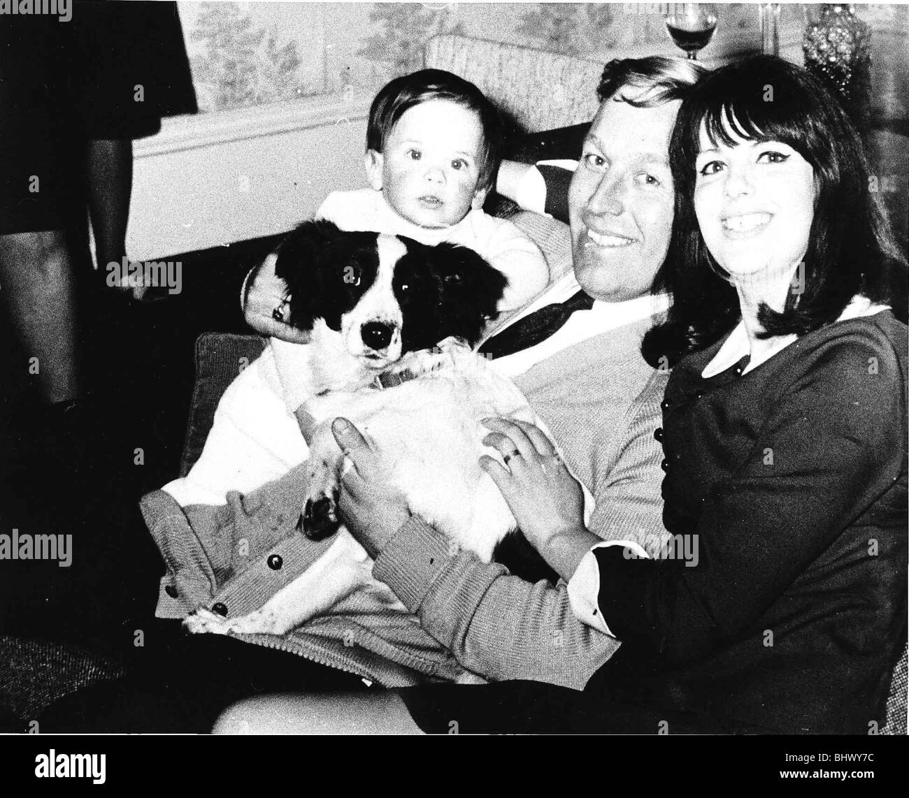 Pickles the dog world cup hires stock photography and images Alamy