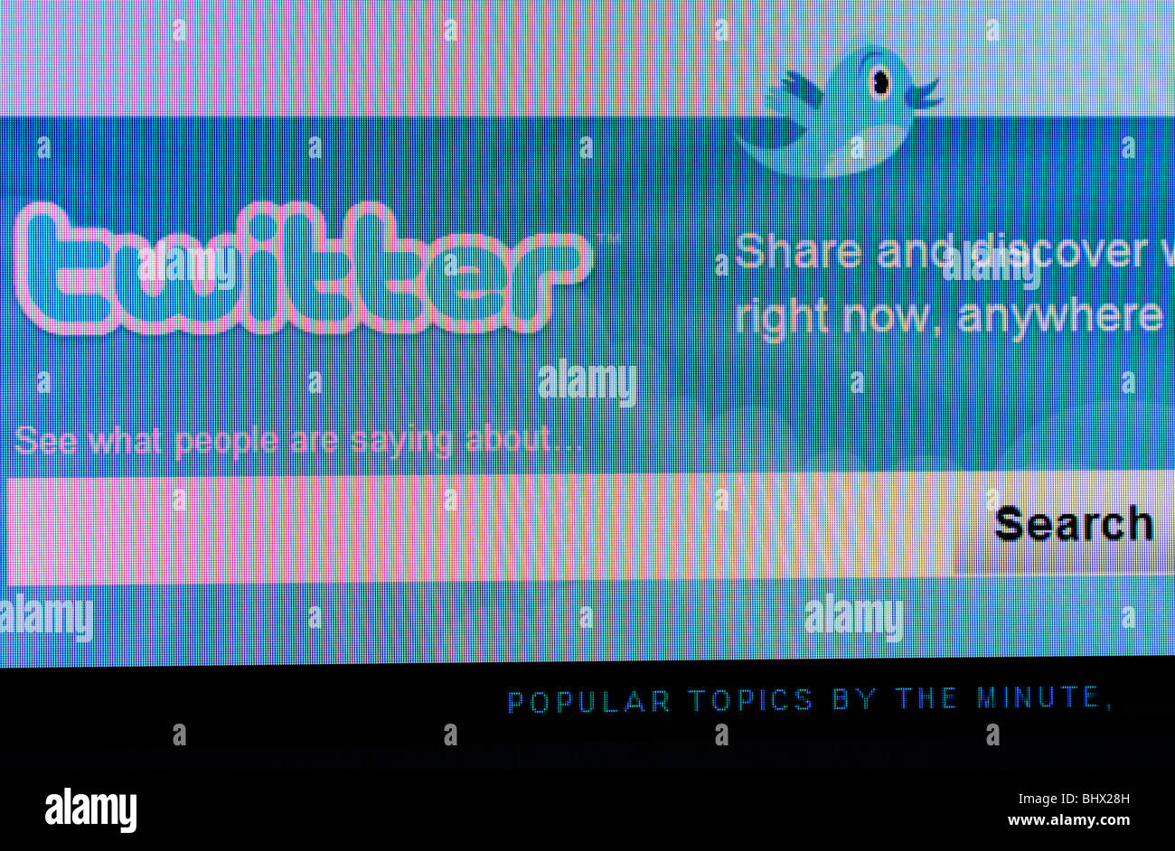 the twitter logo on a computer screen Stock Photo