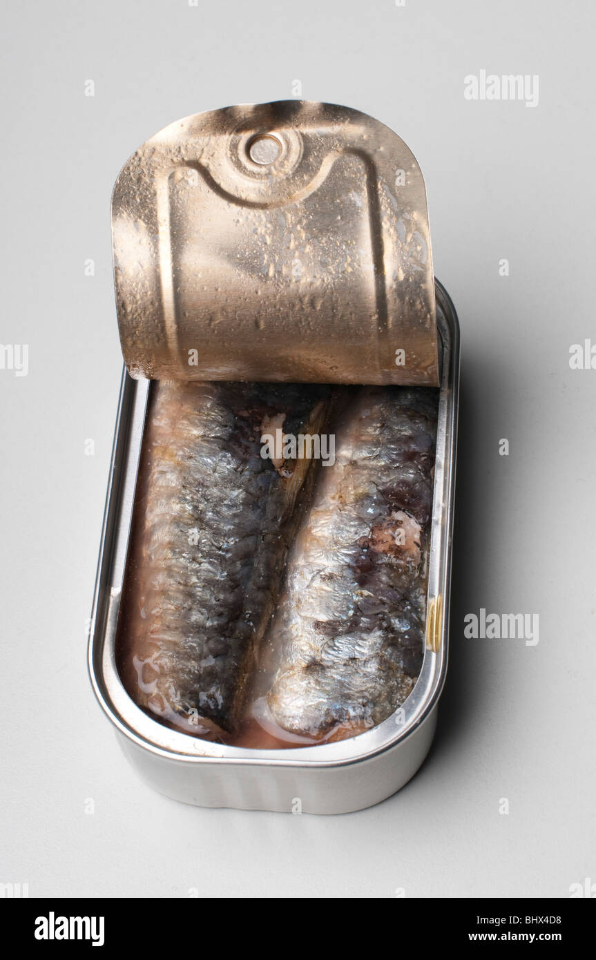 tin with sardines Stock Photo