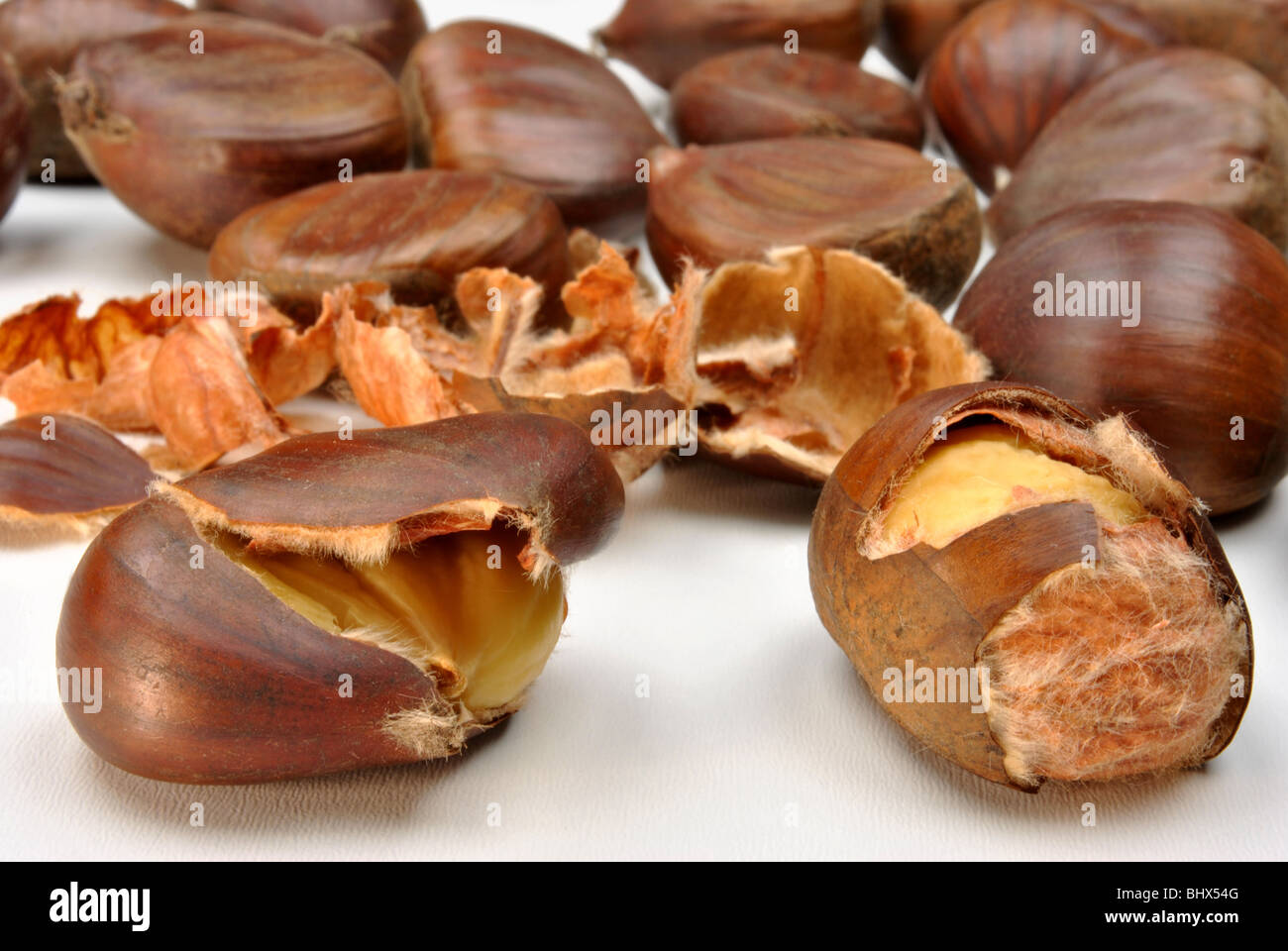 open organic sweet chestnut and white background Stock Photo