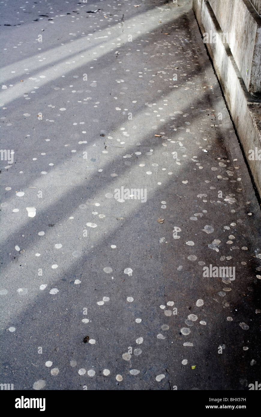 Chewing gum spat out onto pavement, London, England, UK, Europe Stock Photo