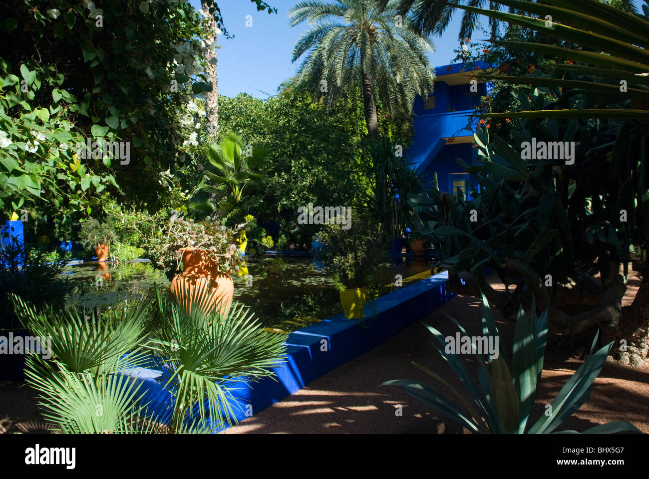 Jardin Majorelle, Marrakech, Morocco Stock Photo Alamy