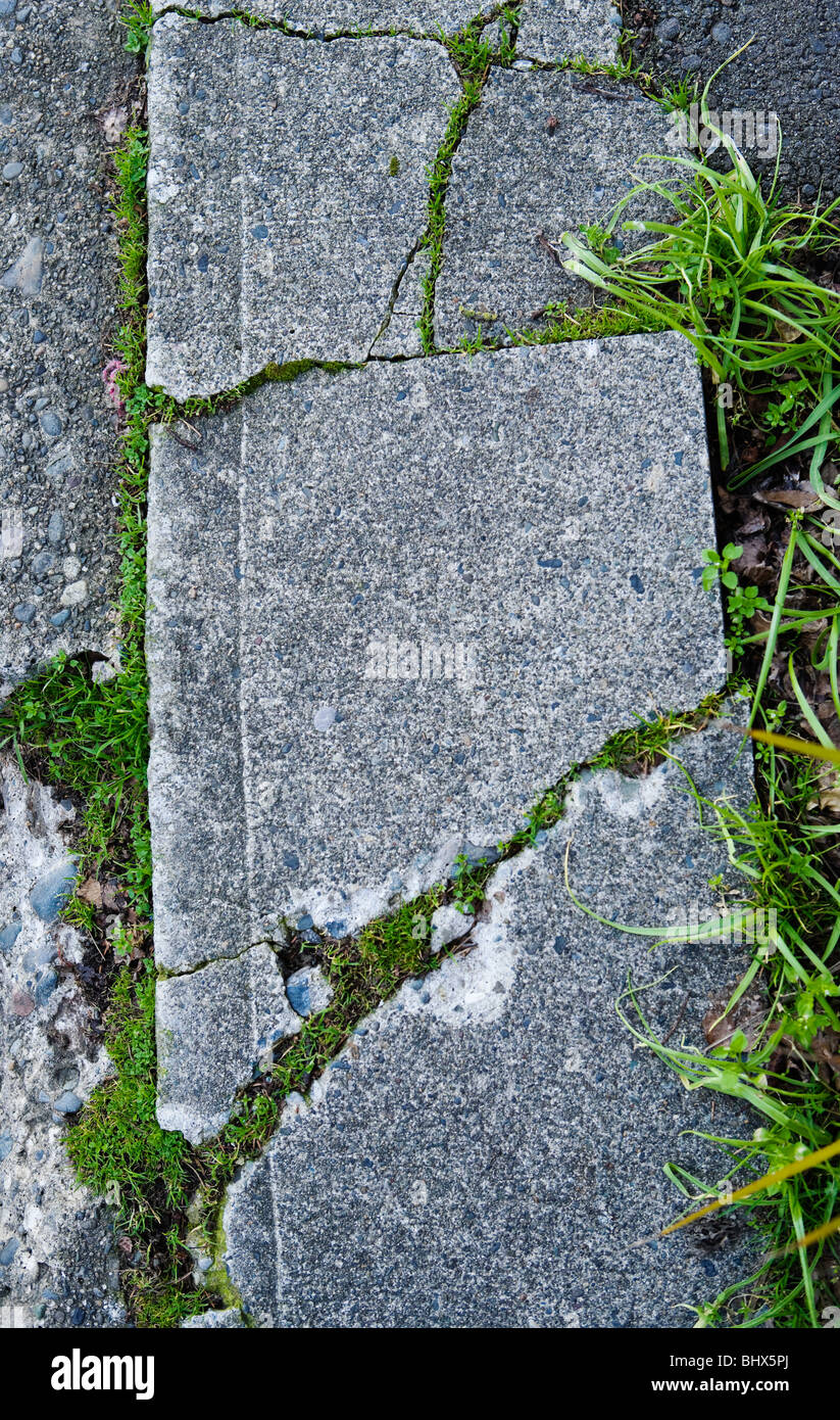 Cracks in a sidewalk with moss and grass growing through the cracks. Stock Photo