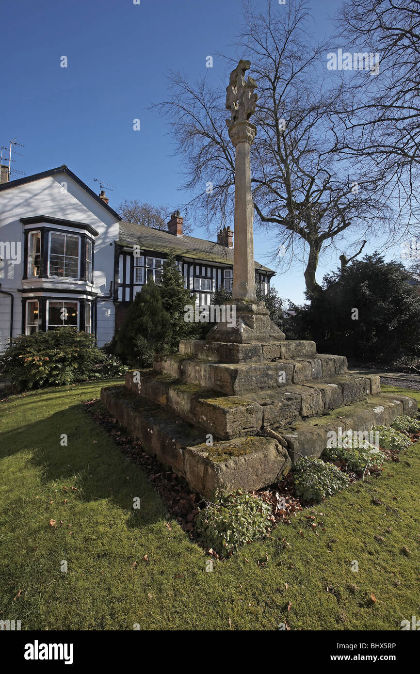 Medieval stone cross known as the Kilnsea Cross, standing in private