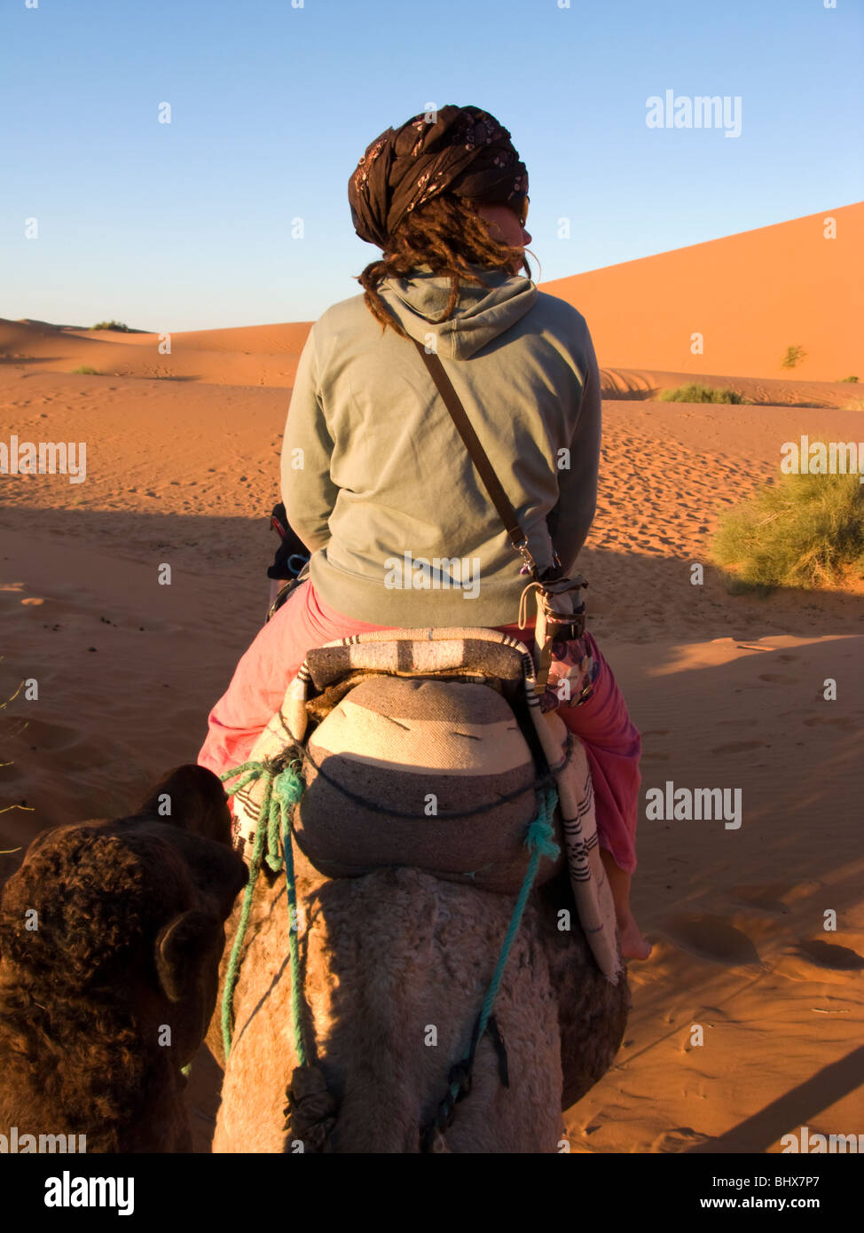 Camel train in the Sahara Desert, Merzouga, Morocco. Stock Photo