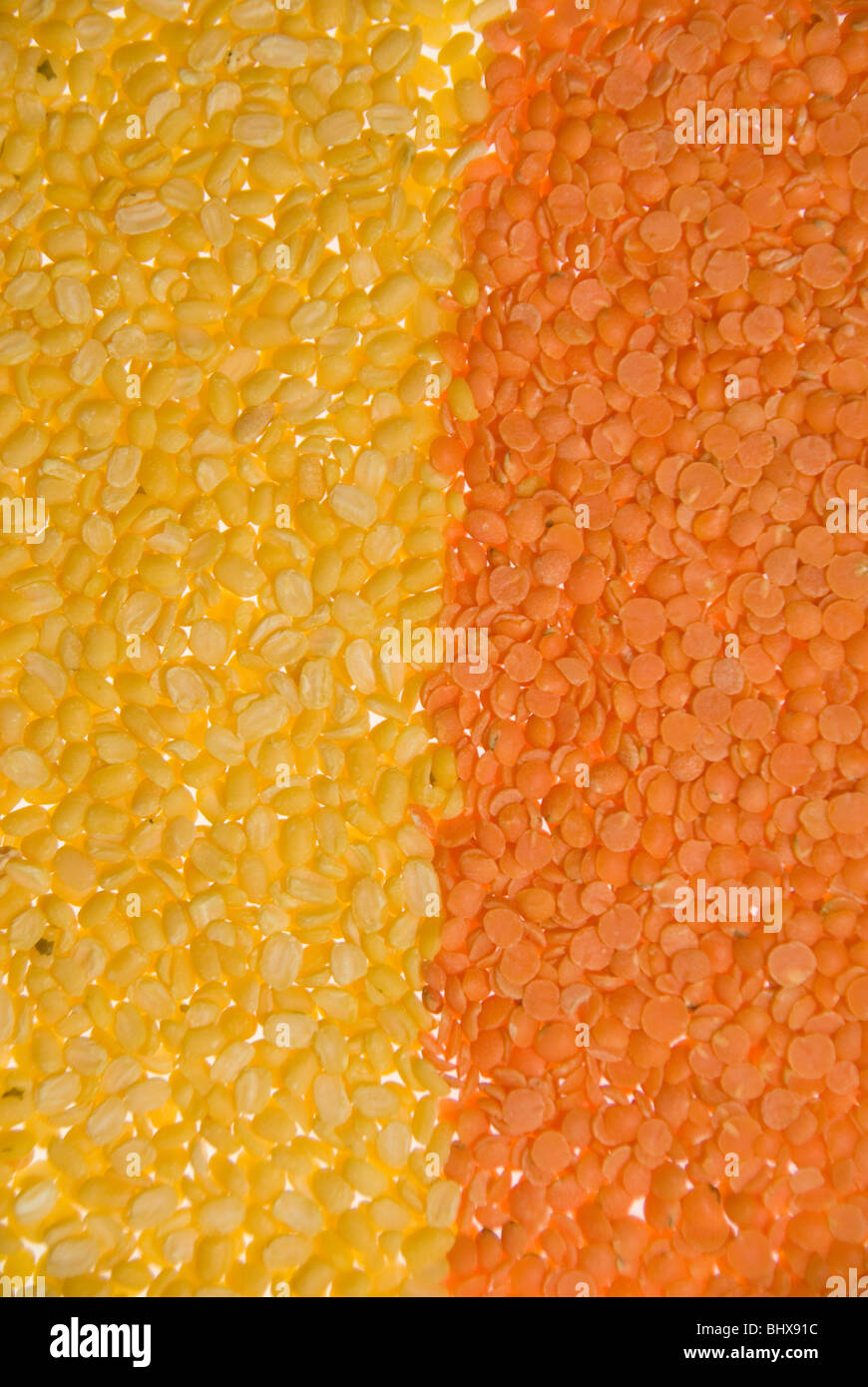 Red Lentils and Yellow Lentils Isolated on a White Background Stock
